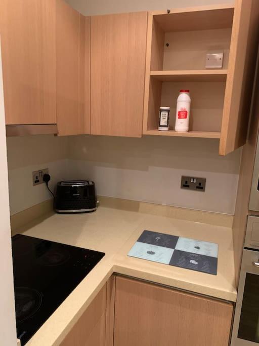Stunning 2 Bed Flat! Centrally Located In London, Uk! Bagian luar foto